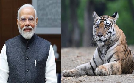 International Tiger Day: अंतरराष्ट्रीय बाघ दिवस पर पीएम मोदी का संदेश: बाघ संरक्षण के प्रति भारत की प्रतिबद्धता दोहराई