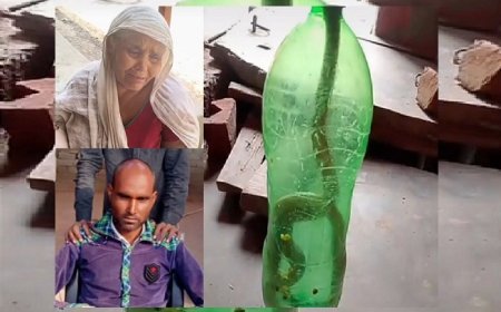 Hardoi: सांप के काटने के बाद उसे बोतल में बंद कर अस्पताल पहुंचा व्यक्ति, इलाज के दौरान मौत