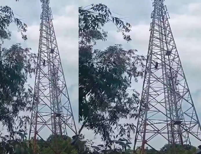 सीतापुर में हाईवोल्टेज ड्रामा: प्रेमी की दूसरी जगह शादी तय होने पर मोबाइल टावर पर चढ़ी तीन बच्चों की मां