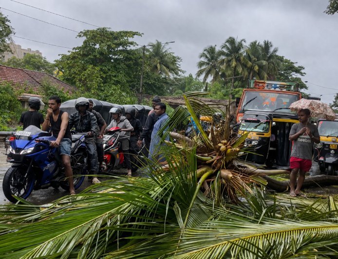 Thane News: मीरा-भायंदर में बड़ा हादसा, पूर्व उपमहापौर के बेटे पर गिरा नारियल का पेड़, अस्पताल में मौत