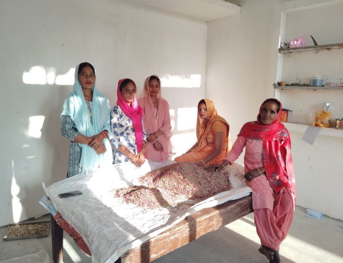 यूपी की हर्बल टी की सुगंध पहुंची अमेरिका-यूरोप, यूपी की महिलाओं ने बनाई 'विदुर हर्बल टी', इंग्लैंड, जर्मनी और फ्रांस में फ्रेंचाइजी खोलने की तैयारी