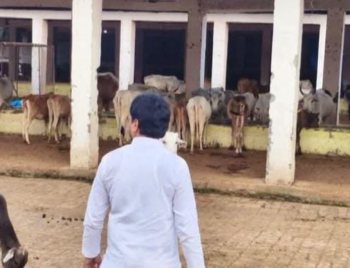 Sitapur News: खैराबाद में नगर पालिका अध्यक्ष प्रतिनिधि ने किया विकास कार्यों और गौशाला का निरीक्षण