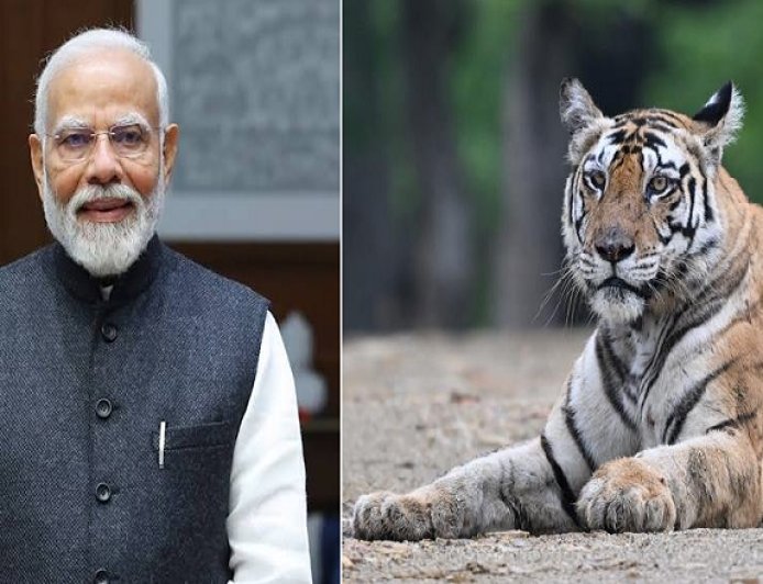 International Tiger Day: अंतरराष्ट्रीय बाघ दिवस पर पीएम मोदी का संदेश: बाघ संरक्षण के प्रति भारत की प्रतिबद्धता दोहराई