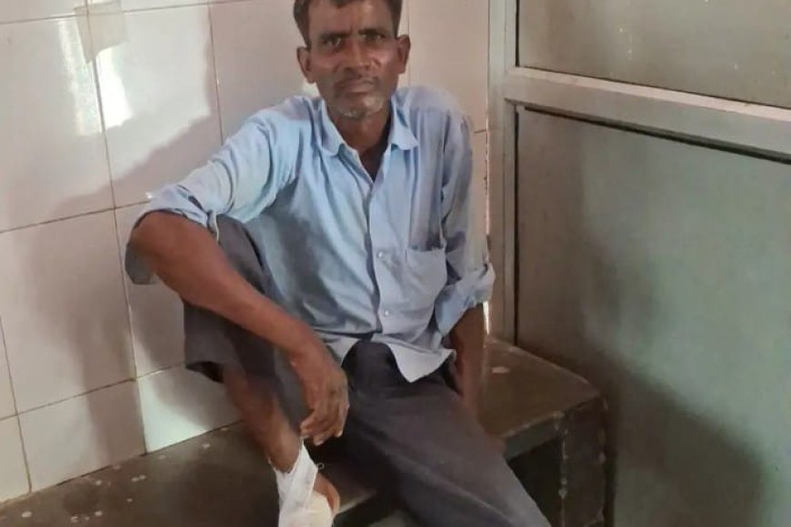 हरदोई में गंगा एक्सप्रेसवे पर बड़ा सड़क हादसा: तेज रफ्तार पिकअप ने बाइक को मारी टक्कर, युवक गंभीर रूप से घायल