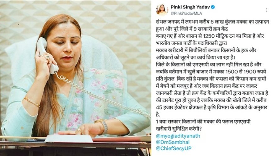 सम्भल में मक्का खरीद पर बवाल! असमोली विधायक पिंकी यादव ने BJP पर किसानों का हक लूटने का लगाया आरोप