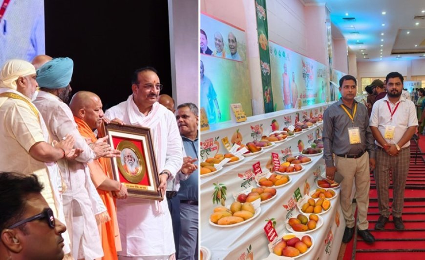 CM योगी ने किया आम महोत्सव-2026 का शुभारंभ, 800+ आम की वैरायटी प्रदर्शित, हरदोई के 150 किसानों ने लिया हिस्सा