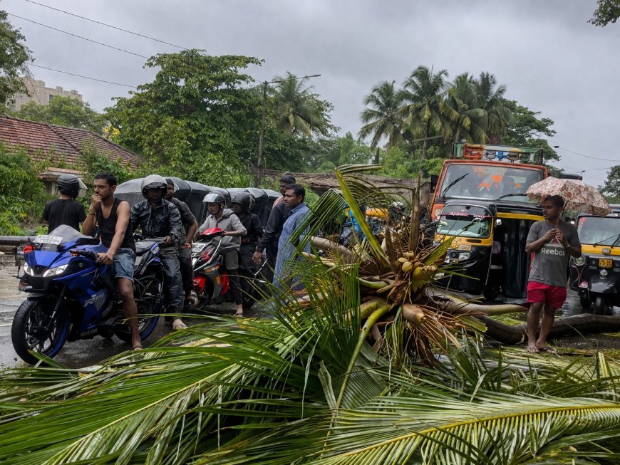 Thane News: मीरा-भायंदर में बड़ा हादसा, पूर्व उपमहापौर के बेटे पर गिरा नारियल का पेड़, अस्पताल में मौत
