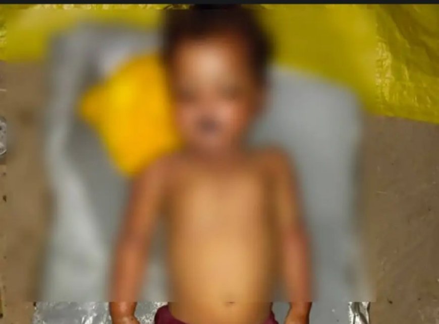 Hardoi: घर में खेल रही 2 वर्षीय मासूम की सांप के डसने से मौत