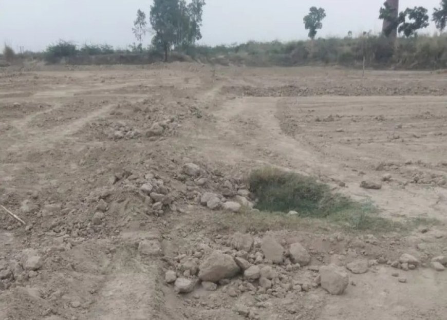 Hardoi: खेत की मेंड तोड़ने को लेकर विवाद, बुजुर्ग को लाठी-डंडों से पीटा