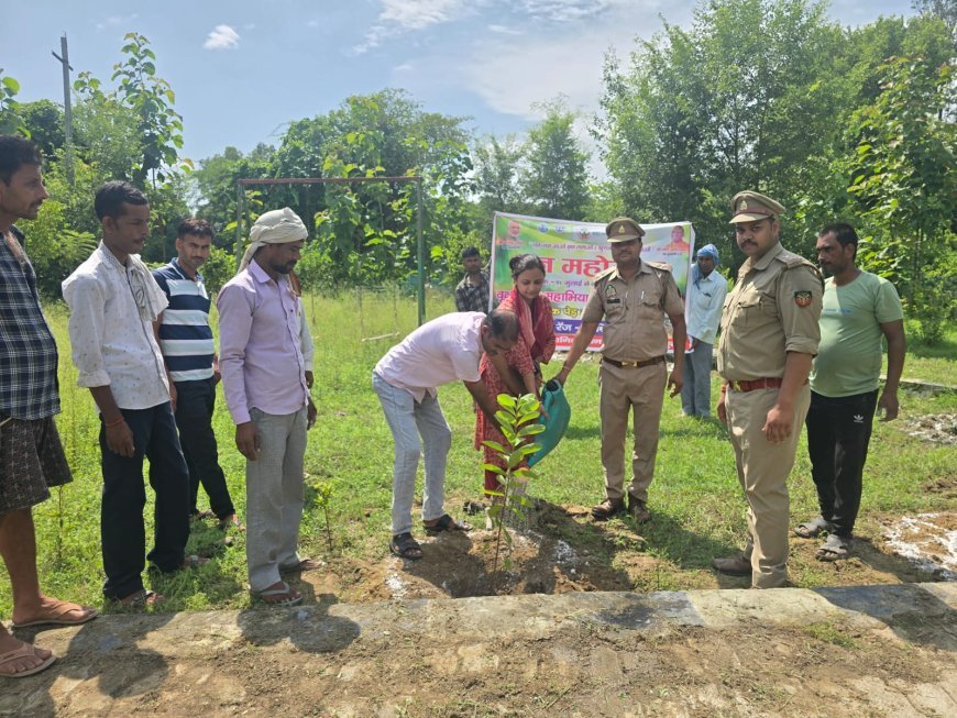 Sitapur: 'एक पेड़ मां के नाम' अभियान के तहत चंद्रावल में हुआ पौधरोपण