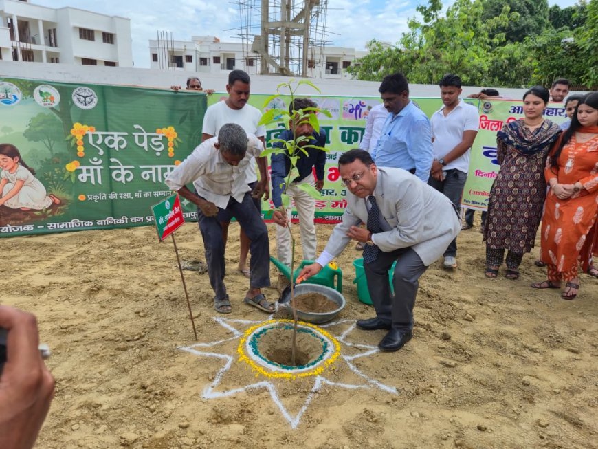 सीतापुर जिला न्यायालय और जजेज कॉलोनी में पर्यावरण दिवस पर हुआ पौधरोपण, जजों और कर्मचारियों ने लिया पौधों के संरक्षण का संकल्प