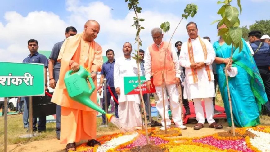 यूपी में पौधरोपण महायज्ञ: 13 प्रमुख नदियों के किनारे लगेंगे 3.83 करोड़ से अधिक पौधे, सरकार ने तैयार किया बड़ा प्लान