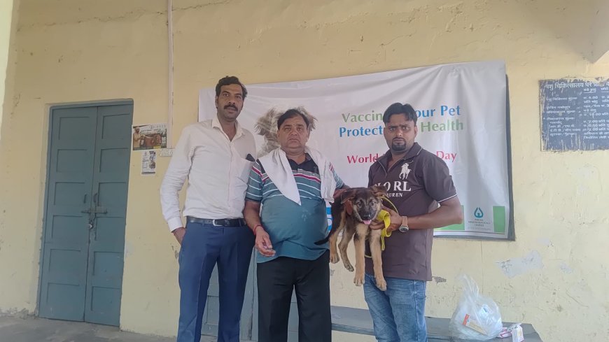 Hathras: विश्व जूनोसिस दिवस पर सासनी में निःशुल्क रेबीज टीकाकरण शिविर आयोजित