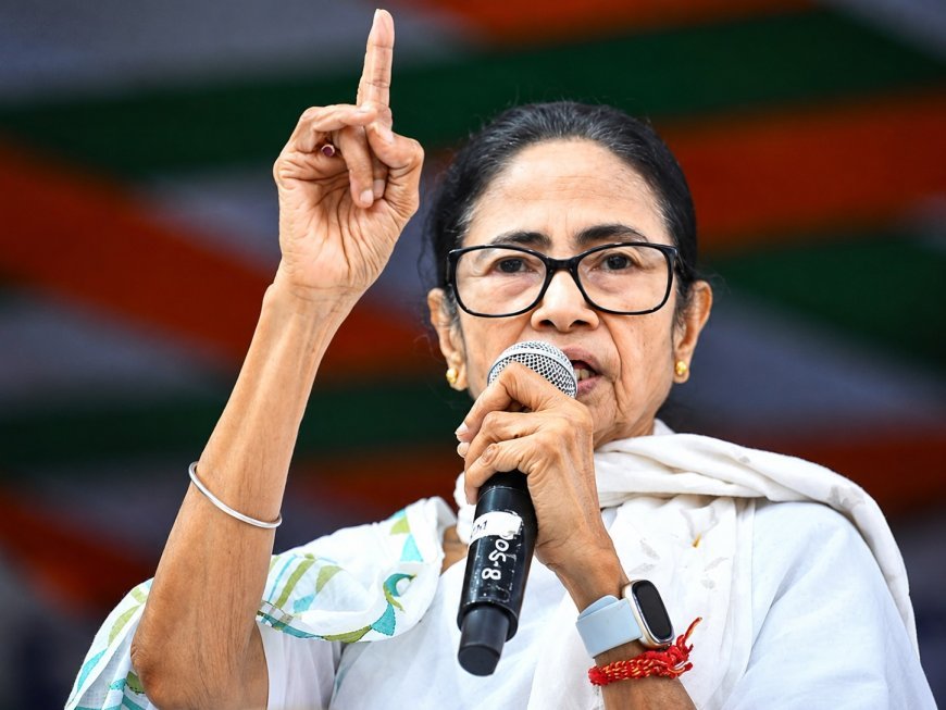 Mamata Banerjee Statement: 'चुप कराना है तो मारना होगा', TMC में बगावत के बीच ममता बनर्जी का BJP को सीधा चैलेंज