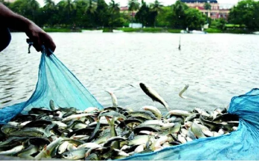 Hardoi: निषादराज बोट सब्सिडी योजना के लिए 24 जुलाई तक फिर खुला पोर्टल, जल्द करें ऑनलाइन आवेदन