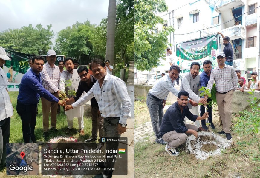 Hardoi News: संडीला में एक पेड़ मां के नाम अभियान के तहत नगर पालिका ने किया वृहद पौधारोपण