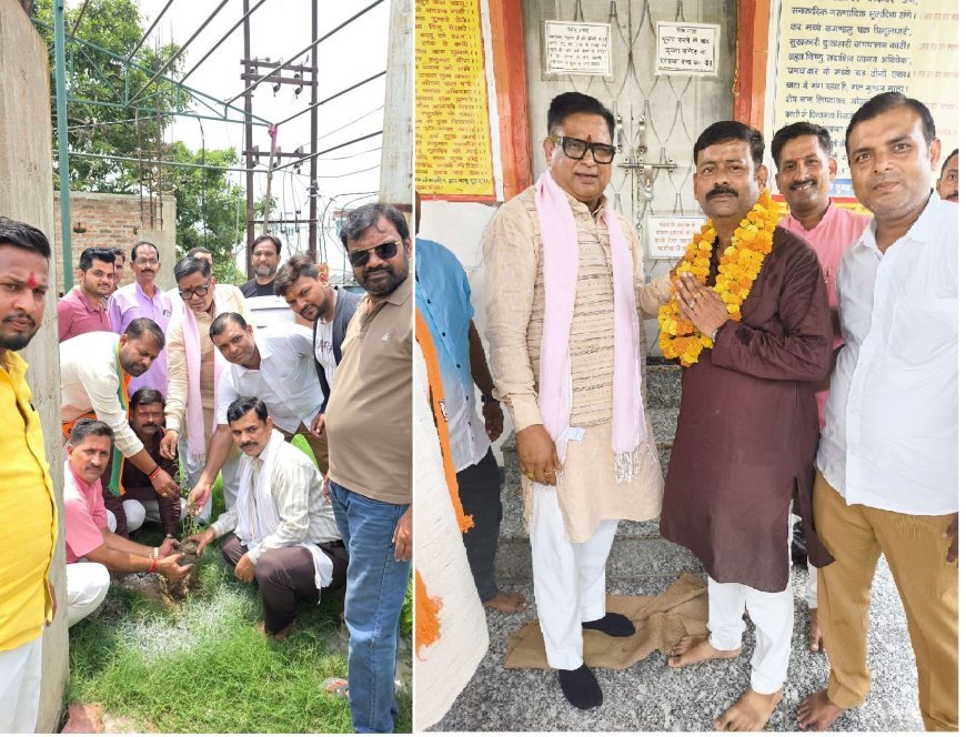 Hardoi News: संडीला के 56 बूथों पर बीजेपी का वृक्षारोपण अभियान, मीतो और कामीपुर के बाद शहर में रोपे गए पौधे