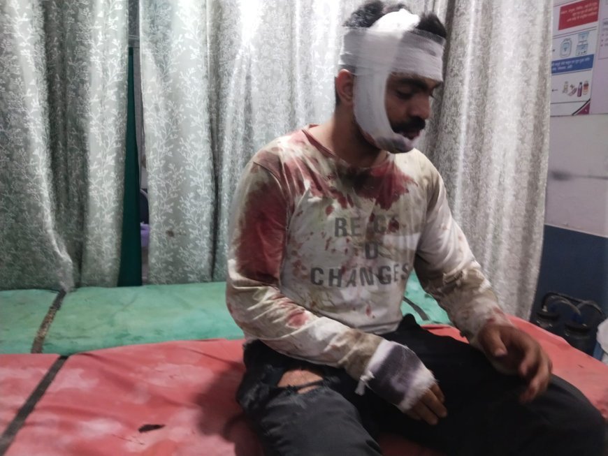 Deoband Accident: देवबंद में नीलगाय से टकराई बाइक, हादसे में एक युवक की मौत, बास्केटबॉल खिलाड़ी गंभीर