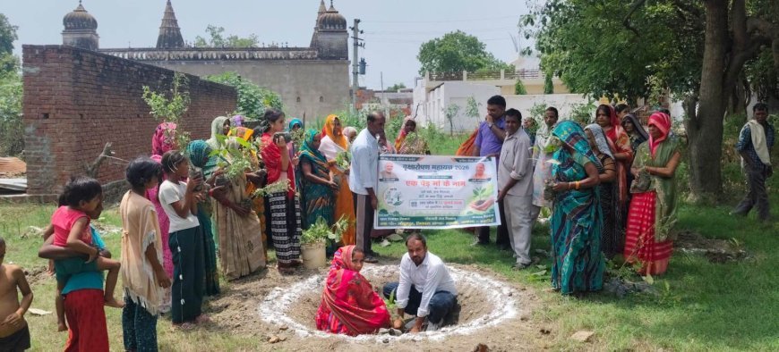Hardoi News: सांडी के कई गांवों में महिलाओं ने संभाली कमान, 'एक पेड़ मां के नाम' अभियान के तहत रोपे गए पौधे