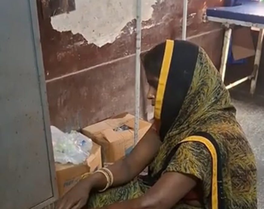 Harpalpur News: हरपालपुर में बंदरों के हमले से बचने के चक्कर में सीढ़ियों से गिरी महिला, अस्पताल में भर्ती