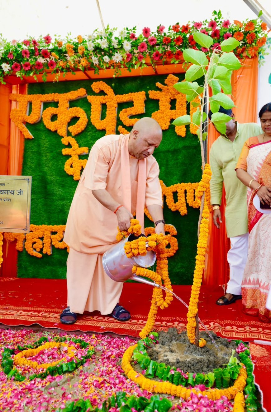 UP Mega Plantation Drive: यूपी के शिक्षण संस्थानों में रोपे गए 43 लाख पौधे, शिक्षा विभाग ने बनाया रिकॉर्ड