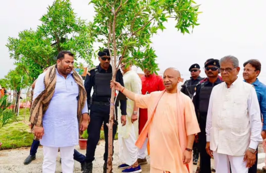 Gorakhpur News: गोरखपुर में सीएम योगी ने लगाया मौलश्री का पौधा, कहा- पेड़ों के कटान से खड़ा होगा जल संकट