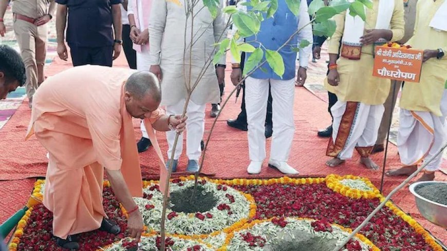Gorakhpur News: गोरखपुर में सीएम योगी ने किया पौधरोपण महायज्ञ का आगाज, एक दिन में 35 करोड़ पौधे लगाने का रिकॉर्ड लक्ष्य