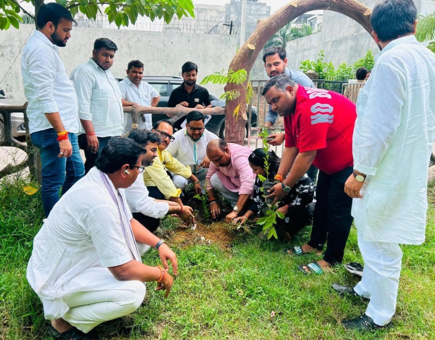 Hardoi News: हरदोई में भाजपा कार्यकर्ताओं ने किया पौधारोपण, 'एक वृक्ष सौ पुत्र समान' का दिया संदेश