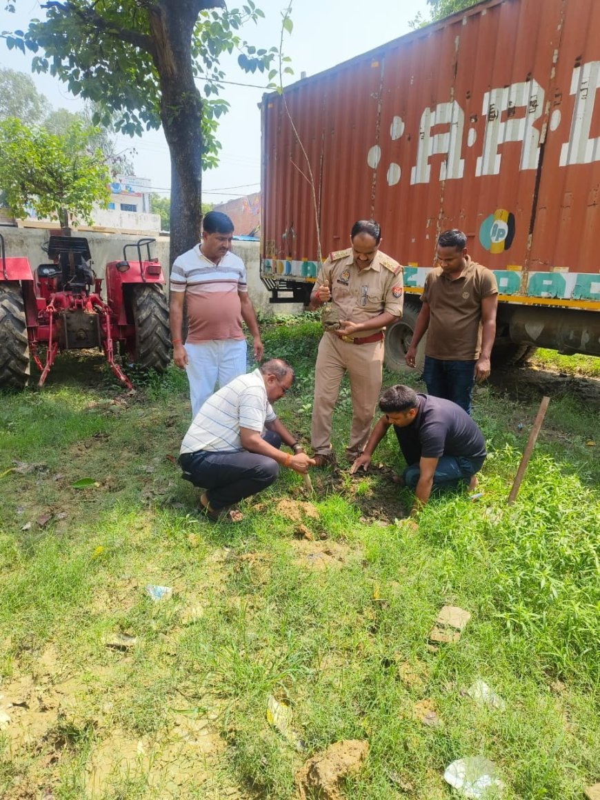 Hardoi News: हरदोई पुलिस का बड़ा अभियान, विभिन्न थानों और पुलिस लाइन परिसर में किया गया सघन पौधारोपण