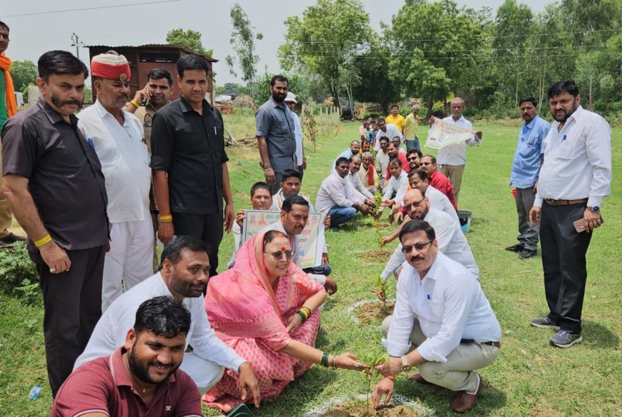 Hardoi News: हरदोई में जिला पंचायत अध्यक्ष प्रेमावती ने किया हनुमान मंदिर का लोकार्पण, परिसर में रोपे पौधे