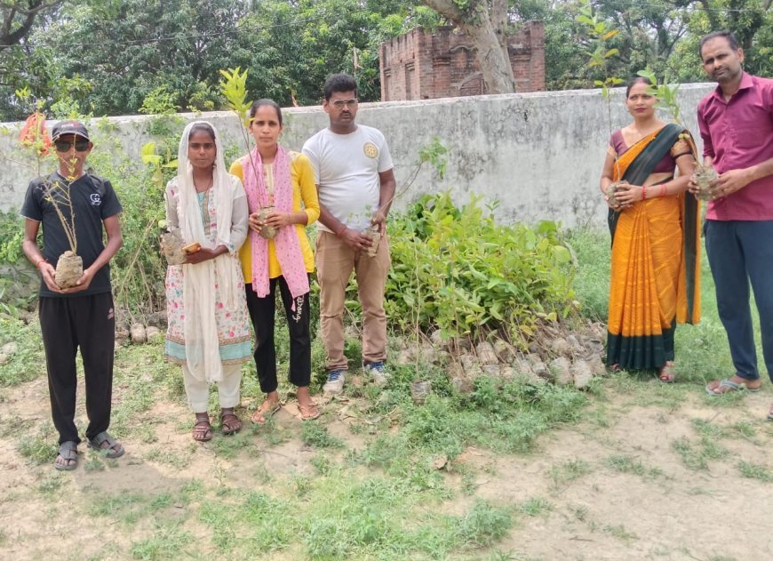 सीतापुर के खैराबाद में पर्यावरण संरक्षण की बड़ी मुहिम: फाउंडेशन ने बांटे 1000 पौधे, 505 का किया रोपण