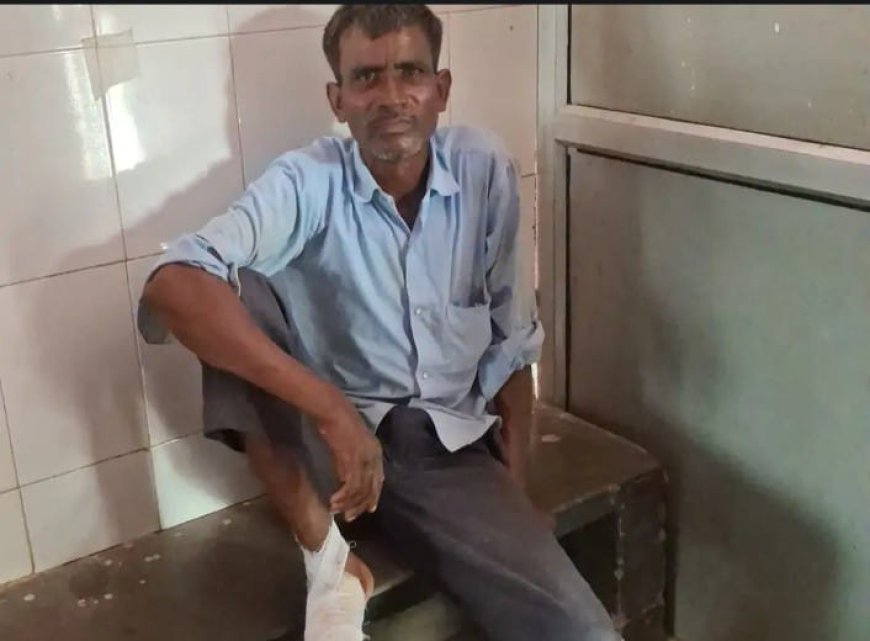 हरदोई में गंगा एक्सप्रेसवे पर बड़ा सड़क हादसा: तेज रफ्तार पिकअप ने बाइक को मारी टक्कर, युवक गंभीर रूप से घायल