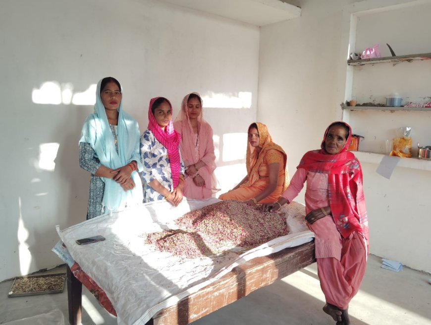यूपी की हर्बल टी की सुगंध पहुंची अमेरिका-यूरोप, यूपी की महिलाओं ने बनाई 'विदुर हर्बल टी', इंग्लैंड, जर्मनी और फ्रांस में फ्रेंचाइजी खोलने की तैयारी