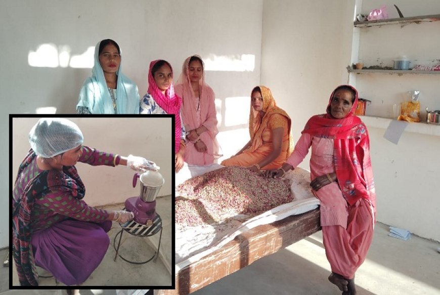 यूपी की 'विदुर हर्बल टी' का विदेशी बाजार में जलवा, अमेरिका-यूरोप तक पहुंची खुशबू; इंग्लैंड, जर्मनी और फ्रांस में खुलेंगी फ्रेंचाइजी