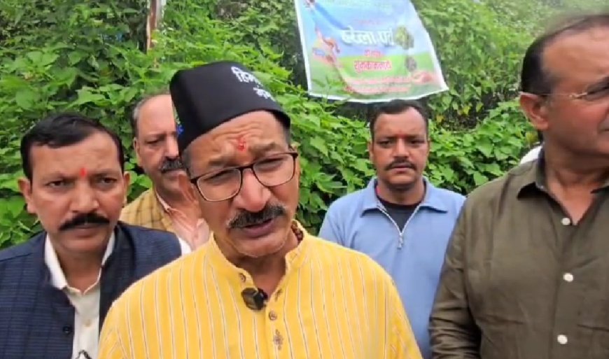 हरेला पर हरियाली का संकल्प माल रोड पर लगे छायादार और फूलदार पौधे, हर पौधे का बना ‘संरक्षक’