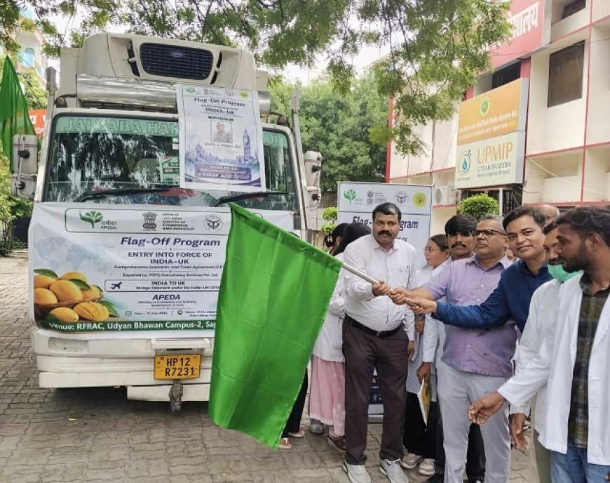 योगी सरकार के प्रयासों से यूपी के आम्रपाली आम को मिली वैश्विक पहचान, 1200 किलो खेप लंदन रवाना