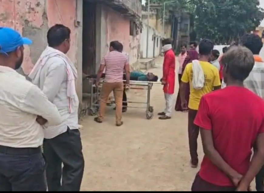 Hardoi Accident News: हरदोई में धान की कटाई के दौरान हाईटेंशन लाइन की चपेट में आया मजदूर, करंट लगने से दर्दनाक मौत