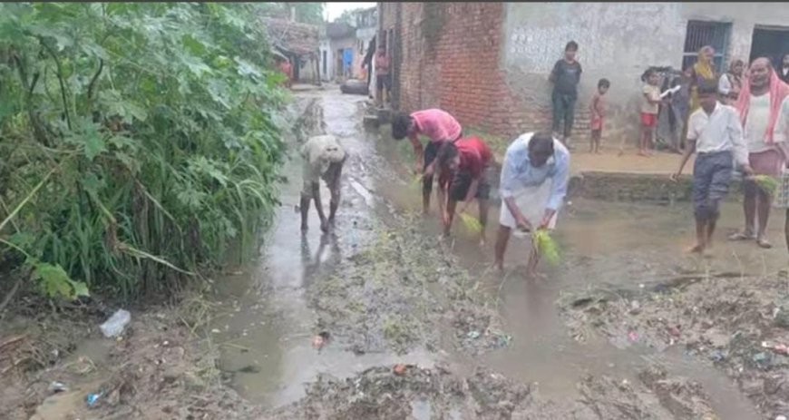 Sitapur News: बदहाल सड़क और जलभराव से परेशान ग्रामीणों का अनोखा प्रदर्शन, रास्ते में धान रोपकर जताया विरोध