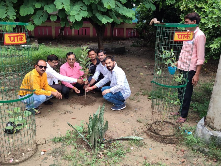 उच्च शिक्षा राज्यमंत्री रजनी तिवारी का 53वां जन्मदिन सेवा भाव से मनाया, शाहाबाद अस्पताल में बांटे फल और किया पौधारोपण