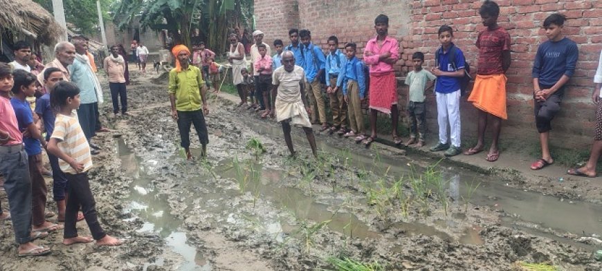 Hardoi: सड़क बनी धान का खेत- आक्रोशित ग्रामवासियों ने सड़क पर भरे दलदल में की धान की रोपाई, वर्षों से बदहाल सड़क के विरोध में अनोखा प्रदर्शन