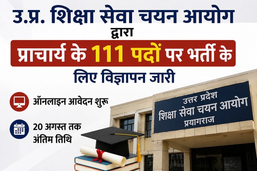 यूपी शिक्षा सेवा चयन आयोग ने प्राचार्य के 111 पदों पर निकाली भर्ती, ऑनलाइन आवेदन शुरू; 20 अगस्त तक करें आवेदन