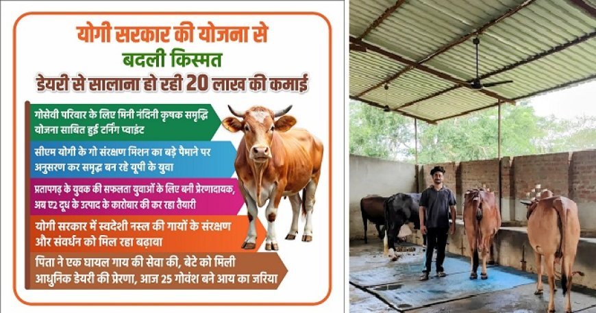 योगी सरकार की डेयरी योजना से बदली युवक की तकदीर, सालाना 20 लाख की कमाई का बना मॉडल