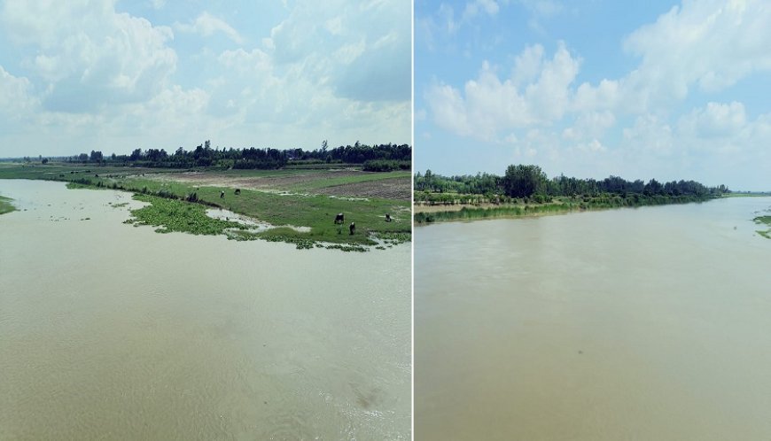 Hardoi: गर्रा नदी के उफान से कटियारी में तबाही: 50 बीघा फसलें जलमग्न, किसानों को भारी आर्थिक नुकसान