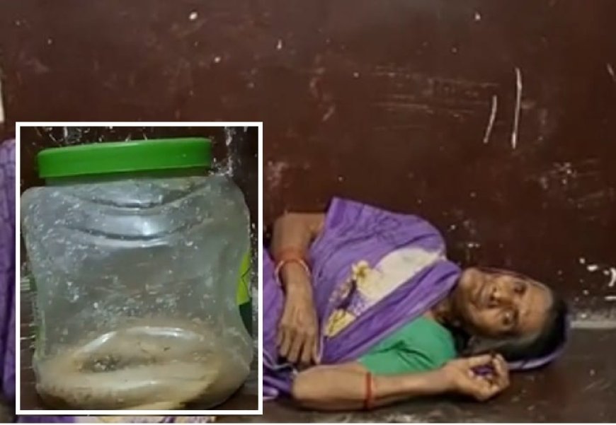 Hardoi: वृद्ध महिला को जहरीले सांप ने डसा, हालत गंभीर, परिजन डिब्बे में बंद कर जिंदा सांप भी अस्पताल ले पहुंचे