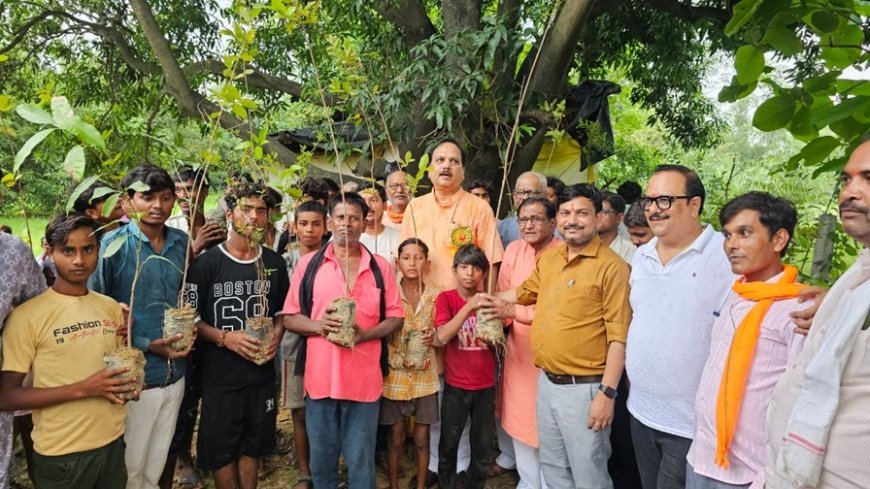 Hardoi: विधायक माधवेन्द्र प्रताप सिंह 'रानू' ने किया फलदार वृक्षों का रोपण, ग्रामवासियों को वितरित किए पौधे
