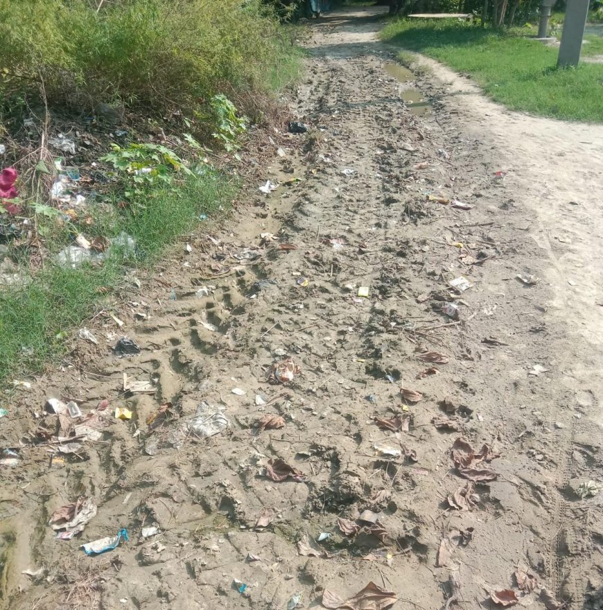 Sitapur News: सकरन की भैंसहा ग्राम पंचायत में विकास कार्य ठप, ग्रामीणों ने अधिकारियों से की शिकायत
