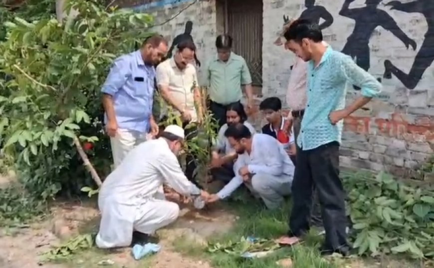 Sambhal News: सांसें बचानी हैं तो पेड़ लगाएं, अब्बासी सोसाइटी ने स्टेडियम में चलाया पौधारोपण अभियान