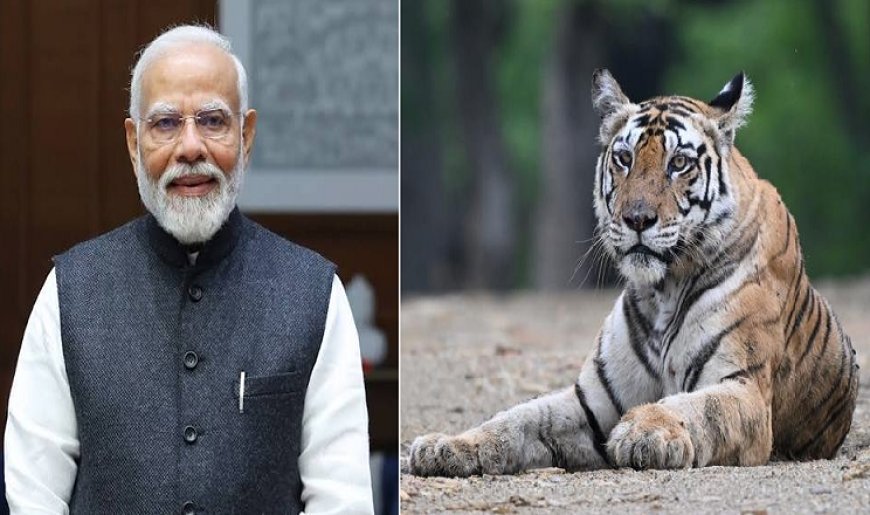 International Tiger Day: अंतरराष्ट्रीय बाघ दिवस पर पीएम मोदी का संदेश: बाघ संरक्षण के प्रति भारत की प्रतिबद्धता दोहराई