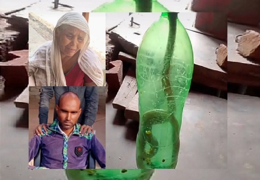 Hardoi: सांप के काटने के बाद उसे बोतल में बंद कर अस्पताल पहुंचा व्यक्ति, इलाज के दौरान मौत