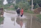 Sambhal: सम्भल में गंगा का कहर! बझांगी गांव में घुसा बाढ़ का पानी, प्रशासन के दावे बहे पानी में